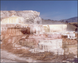 Minerva Terrace and Spring