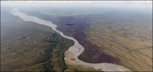 Burned area in Denali National Park