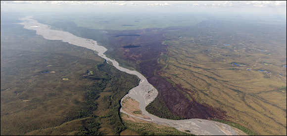 Burned area in Denali National Park