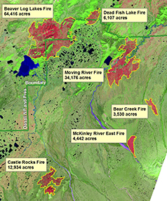 Landsat image of fire scars