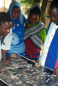 local looking at satellite imagery