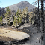 fire boundary, Red Lassic