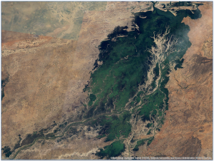 The Inland Niger River Delta