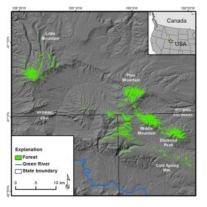 study area forest extent