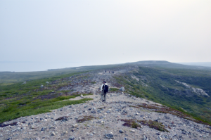 NASA researchers in the field