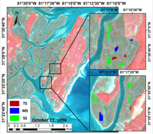 Landsat 5 image of Sapelo Island
