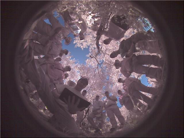 fisheye view of field team