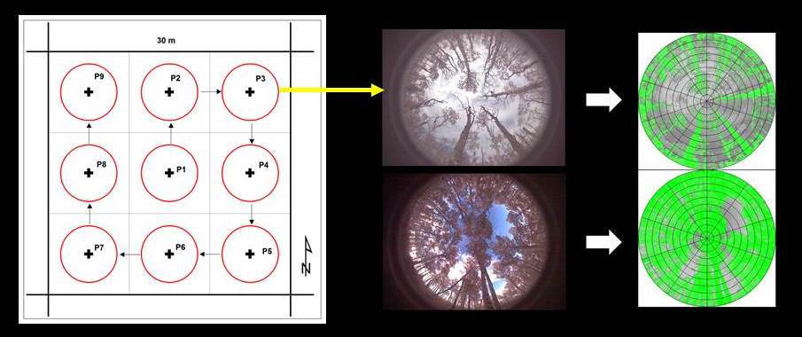 Using fisheye photos