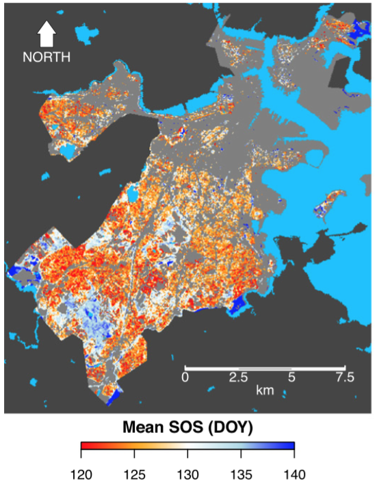 leaf out timing map of Boston