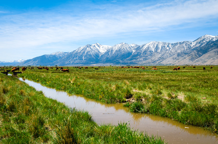 Sierra Nevada Mountains