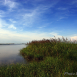 photo of lake and grass
