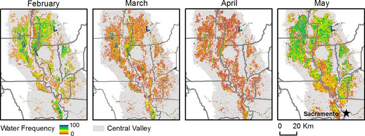 monthly wetland locations