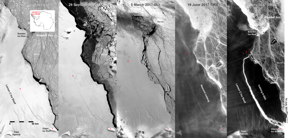 progression of Larsen C iceberg formation
