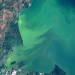 2017 bloom in Lake Erie