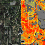 NDVI image of properties in Bel Air, LA, CA