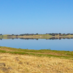 wetlands in Baylands Nature Preserve