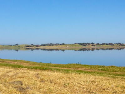 wetlands in Baylands Nature Preserve