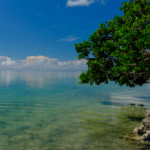 clear water in Florida Keys