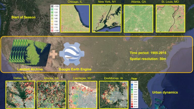 Changes in urban environments and ecosystems
