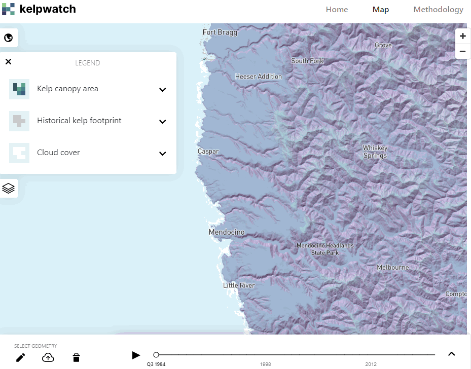 A demonstration of the KelpWatch app