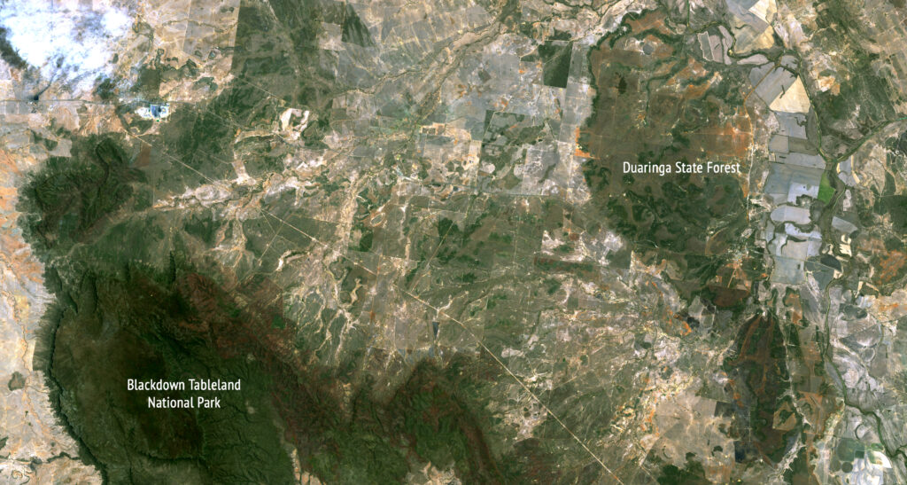 A Landsat 9 satellite image showing green patches of forest and brown patches of non-forested land in eastern Queensland.