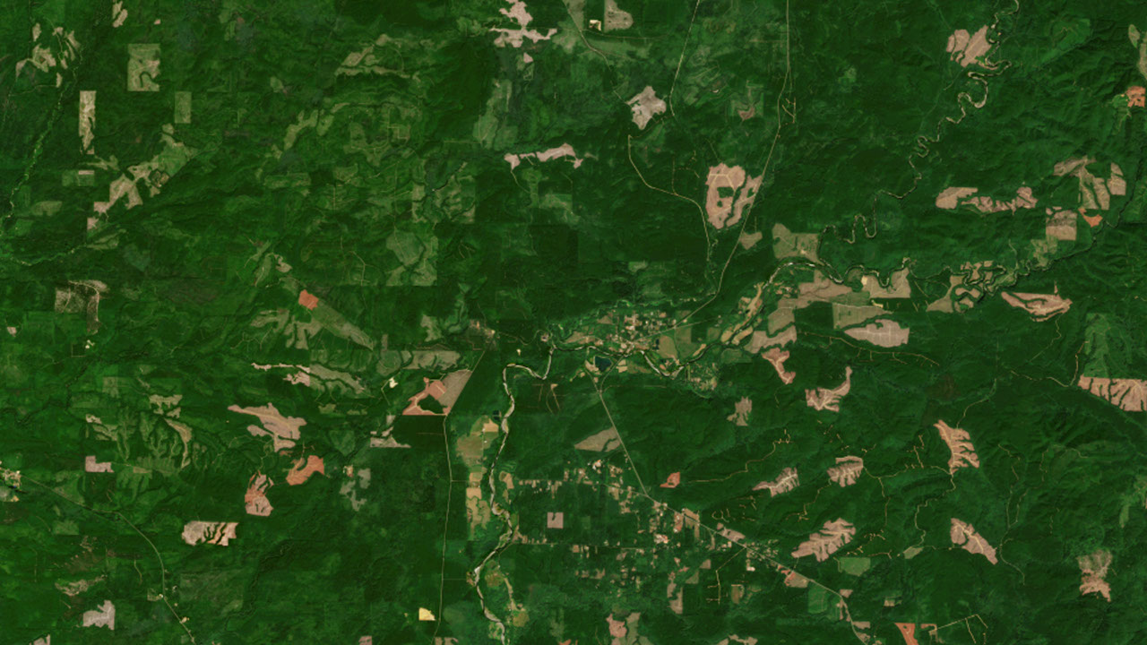 Three Ways that a New Land Monitoring System is Transforming How We Manage Forests – NASA Science Three Ways that a New Land Monitoring System is Transforming How We Manage Forests – NASA Science