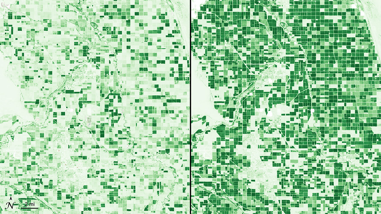 An NDVI comparison of agriculture in the Imperial Valley between October 12, 2024, and May 14, 2025, illustrating the region's dramatic seasonal crop growth cycle.