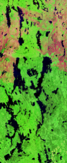 False-color Landsat satellite image showing water bodies forming the number 4.