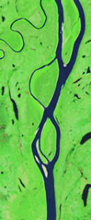 False-color Landsat satellite image showing a split river channel forming the number 8.