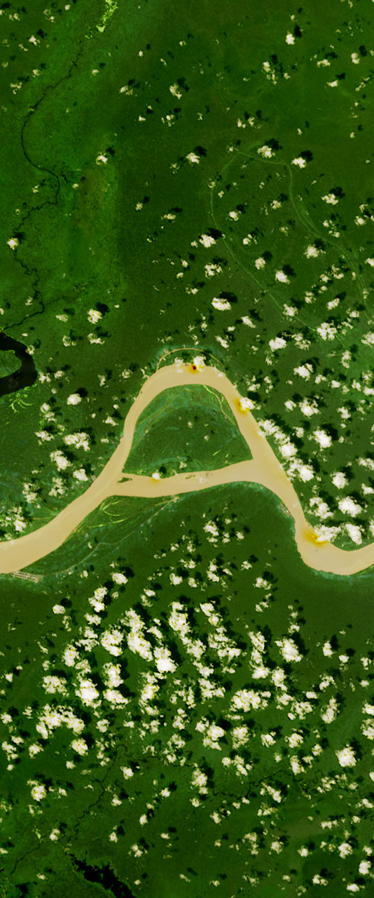 Landsat satellite image showing a curvy river forming the upper case letter “a” surrounded by green vegetation.