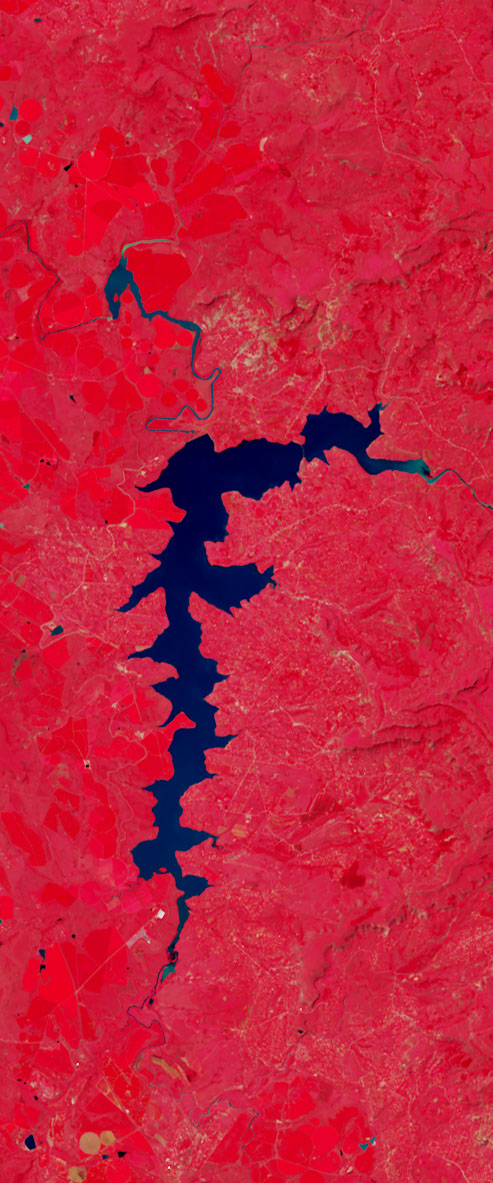 False-color Landsat satellite image of a long thin lake forms the letter f.