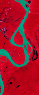 Landsat satellite image in false-color showing a curvy river forming the lower case letter g.