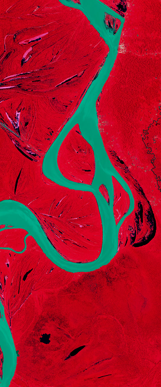 Landsat satellite image in false-color showing a curvy river forming the lower case letter g.