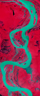 Landsat satellite image in false-color showing a winding river forming the lower case letter g.