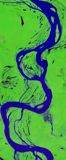Landsat satellite image in false-color showing a winding river forming the lower case letter g.