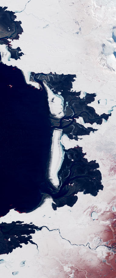 Two sandy islands form the lower case letter I in this false-color Landsat satellite image.