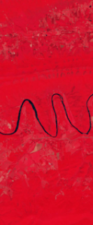 False-color Landsat satellite image showing a curvy river forming the letter m.