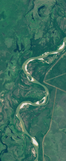 Landsat satellite image showing roads cut through a forest that form the upper case letter S.