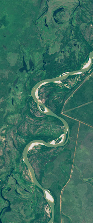 Landsat satellite image showing roads cut through a forest that form the upper case letter S.