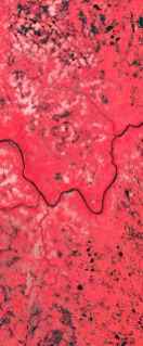 Curvy river forms the lower case letter W in this Landsat satellite image.