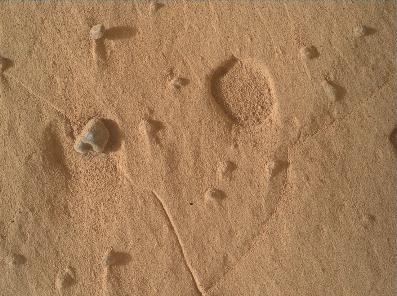 Curiosity keeps surprising scientists after 14 years on Mars