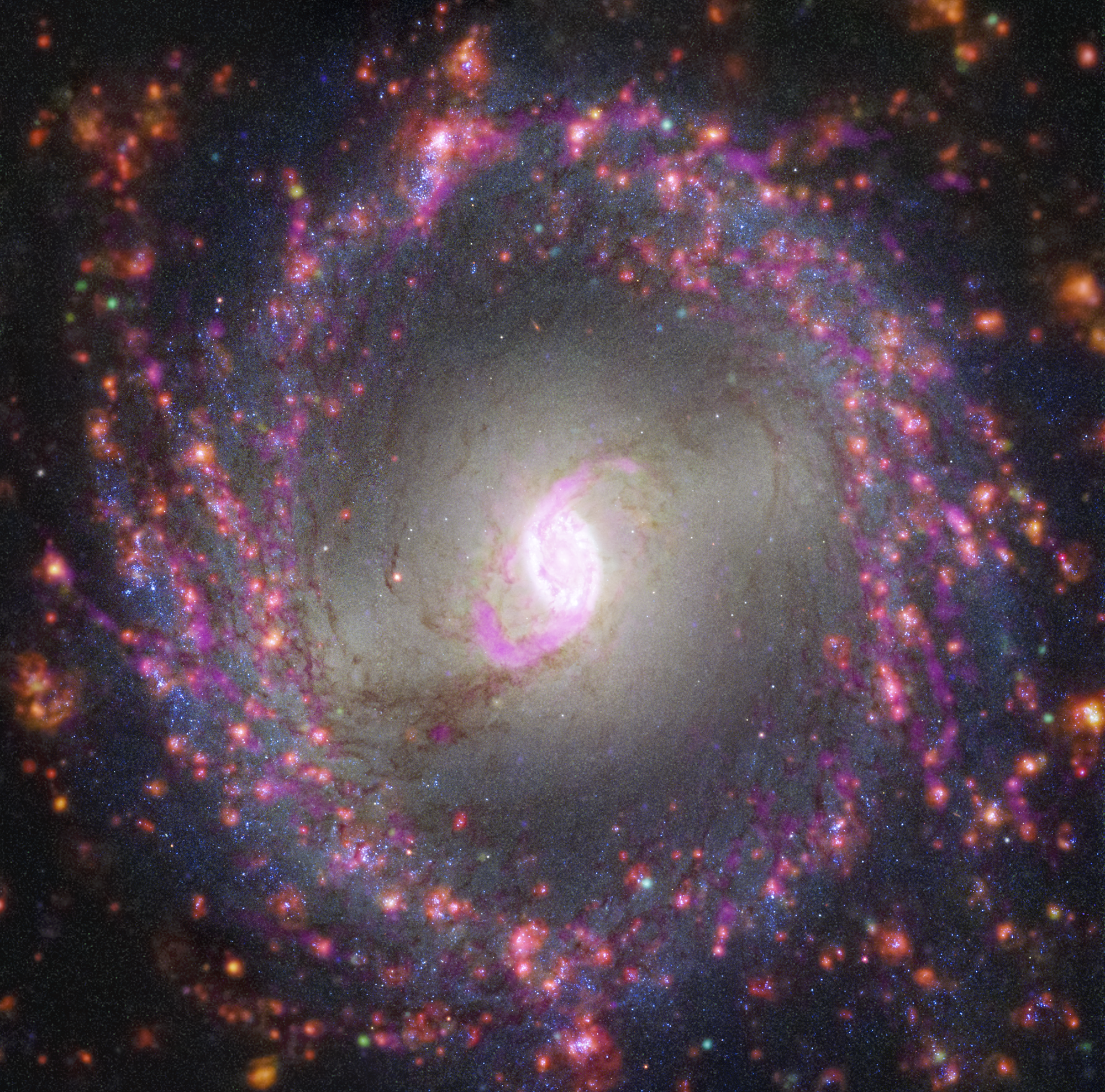 NGC MS65 ネパール 5ルピー エラー 1990年 マルチストライク NGC MS65 ネパール 5ルピー エラー 1990年 マルチストライク NGC