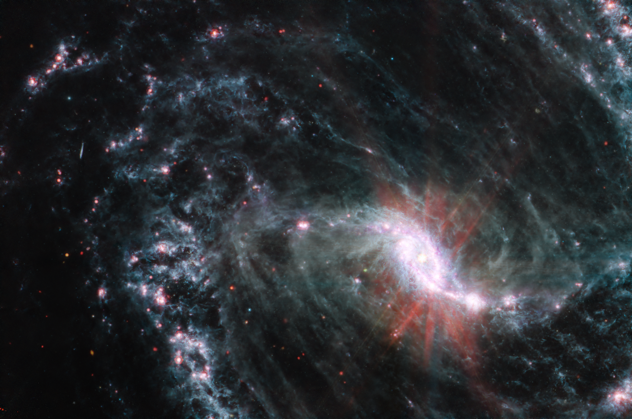 ナガセ　ロズマリスト NGC 1365 - Wikipedia