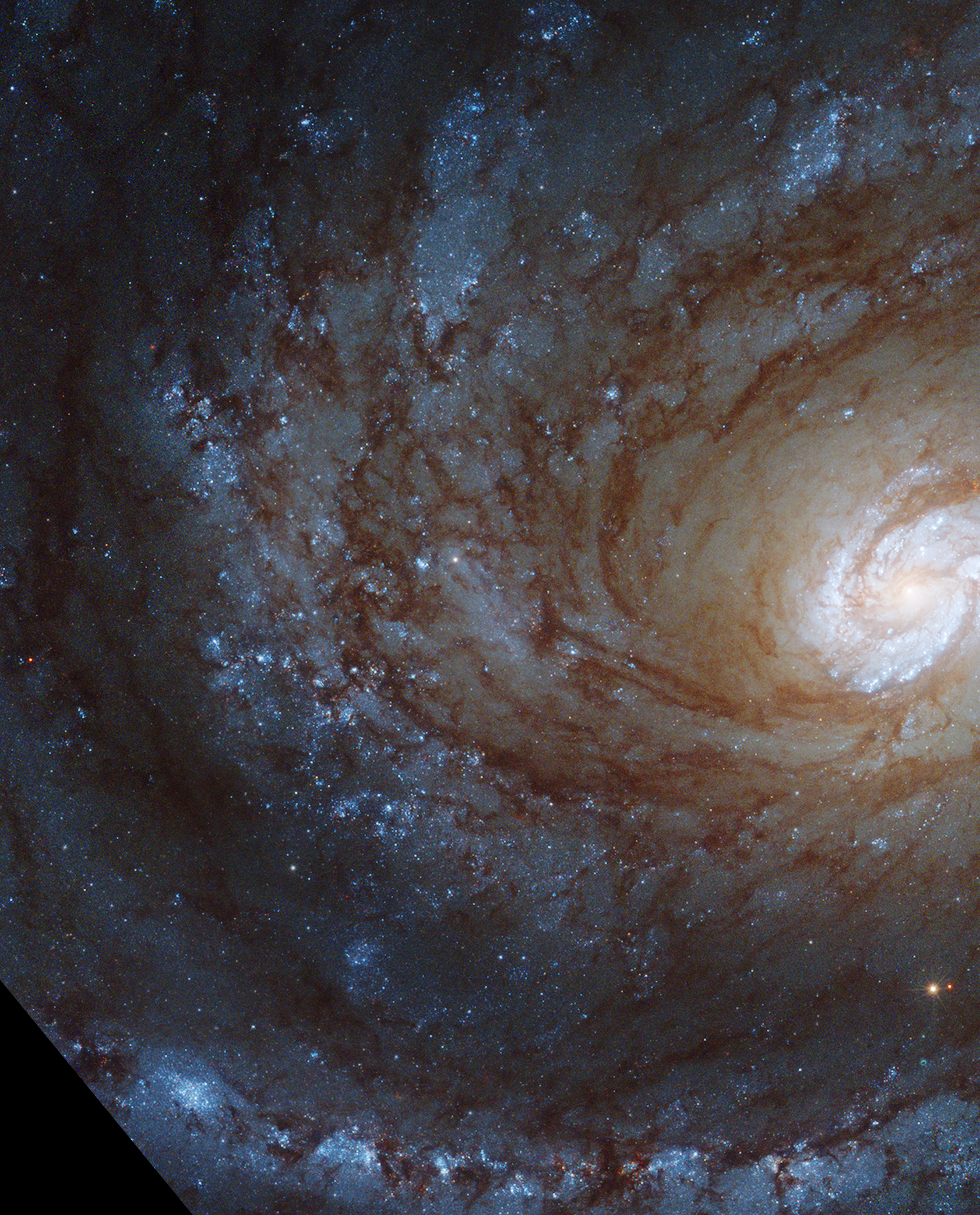 Webb and Hubble's Views of Spiral Galaxy NGC 4321 - NASA Science