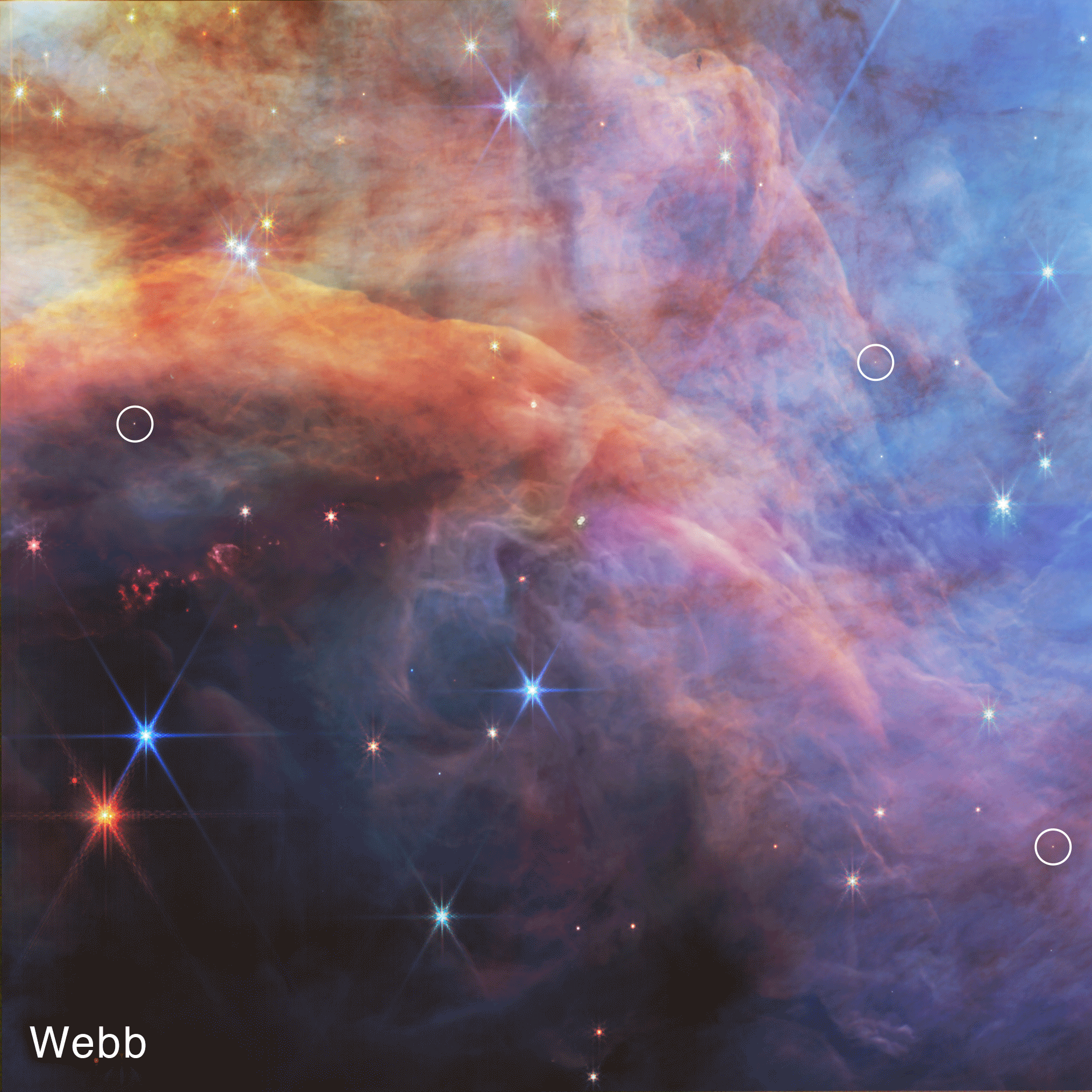 This video alternates between a Hubble Space Telescope and a James Webb Space Telescope observation of the Flame Nebula, a nearby star-forming nebula less than 1 million years old. In this comparison, three low-mass objects are highlighted. In Hubble’s observation, the low-mass objects are hidden by the region’s dense dust and gas. However, the objects are brought out in the Webb observation due to Webb's sensitivity to faint infrared light.