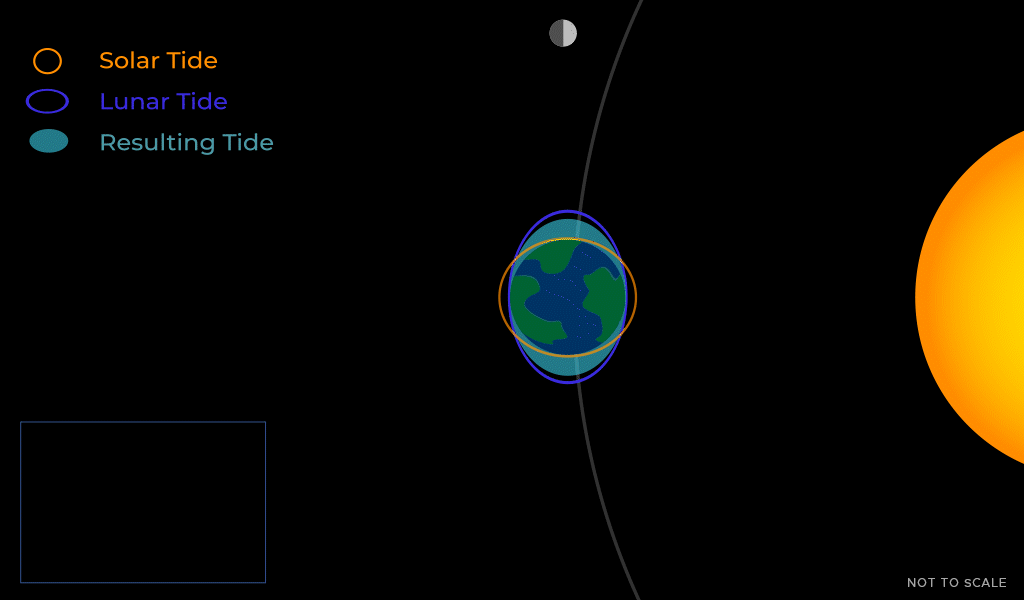 Animation depicting the Moon orbiting the Earth. The Sun is visible. A key with labels indicating “Solar Tide, Lunar Tide, and Resulting Tide”