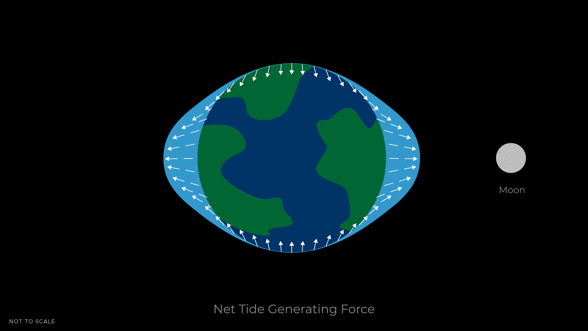 Animation depicting the Earth and Moon. A blue mass representing the Earth's tides and arrows flowing toward the 2 outer bulges. Text at the bottom: "Net Tide Generating Force"
