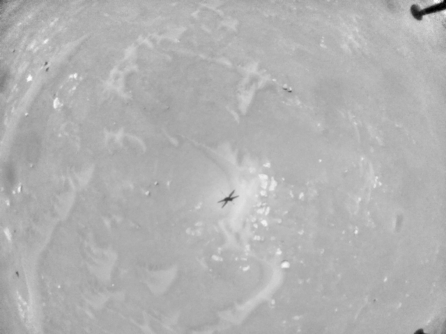 This sequence of images by the navigation camera aboard NASA’s Ingenuity Mars Helicopter depicts the last 29 seconds of the rotorcraft’s sixth flight.