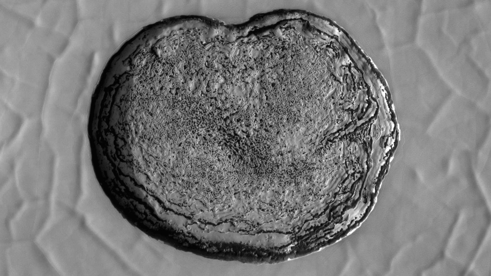 This series of images shows carbon dioxide ice sublimating (going directly from a solid to a gas) inside a pit at Mars' south pole.