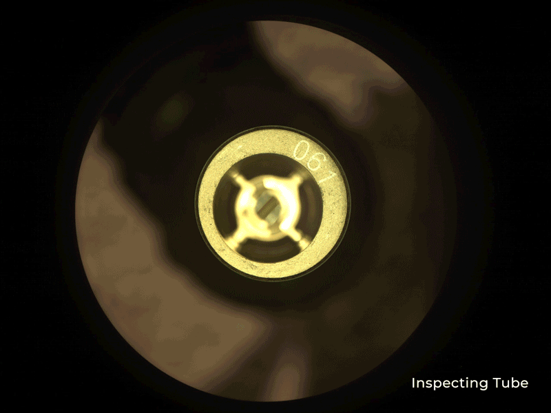 Witness tube in Perseverance